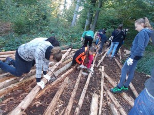 bilder_waldwoche_8a_etrs_11_20141027_1244415830